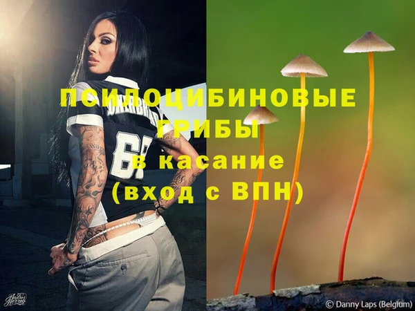 соль ск Алзамай