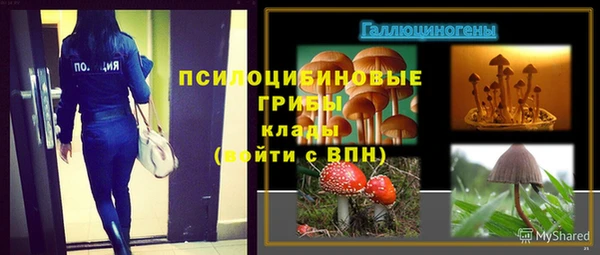 соль ск Алзамай
