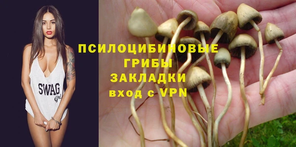 соль ск Алзамай