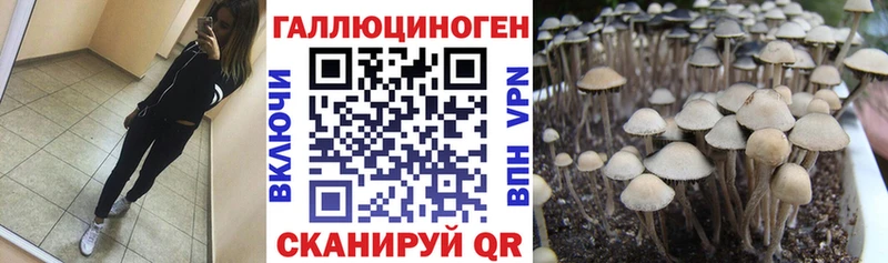 как найти закладки  Сясьстрой  Псилоцибиновые грибы мухоморы 